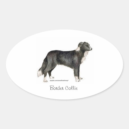 Border Collie Ovale Sticker (Voorkant)