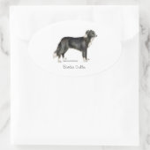 Border Collie Ovale Sticker (Tas)
