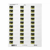 border collie p9 etiket (Full Sheet)