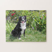 Border Collie - Paddy - Pasten Legpuzzel (Horizontaal)
