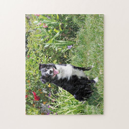 Border Collie - Paddy - Pasten Legpuzzel (Verticaal)