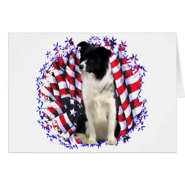 Border Collie Patriot (Voorkant Horizontaal)