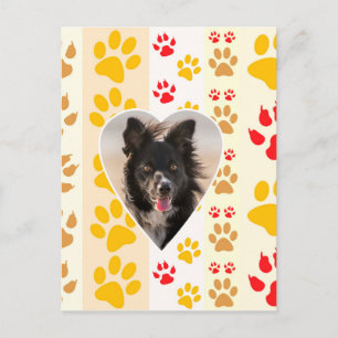 Border Collie Paw Print Love Heart Briefkaart