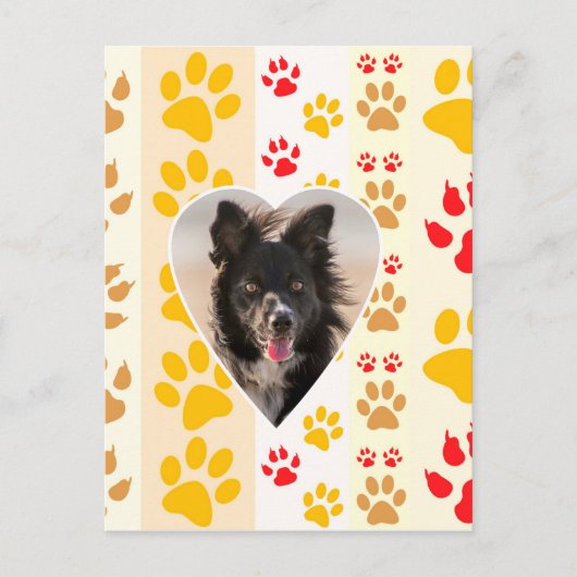 Border Collie Paw Print Love Heart Briefkaart (Voorkant)