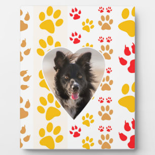 Border Collie Paw Print Love Heart Fotoplaat