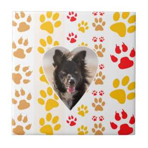 Border Collie Paw Print Love Heart Tegeltje