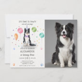 Border Collie Pawty Dog Puppy Verjaardag Blauw Fot Kaart (Voorkant)