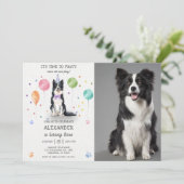 Border Collie Pawty Dog Puppy Verjaardag Blauw Fot Kaart (Staand voorkant)