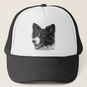 Border Collie Pet