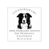 Border Collie Pet Dog Familienaam & Retour Adres Rubberstempel (Afrduk)