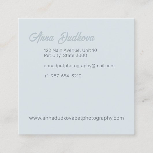 Border Collie Pet Photography Square Visitekaartje (Achterkant)