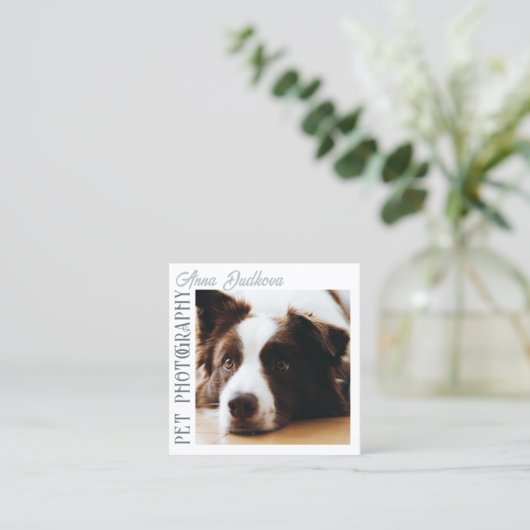 Border Collie Pet Photography Square Visitekaartje (Staand voorkant)