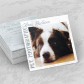 Border Collie Pet Photography Square Visitekaartje