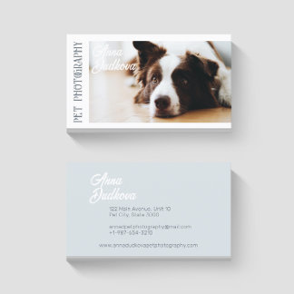 Border Collie Pet Photography Visitekaartje