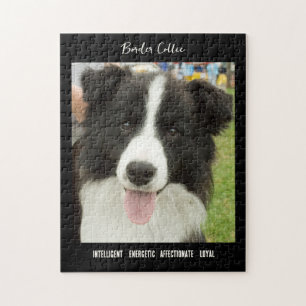 Border Collie Photo Hondenras Jigzaag Puzzle Legpuzzel