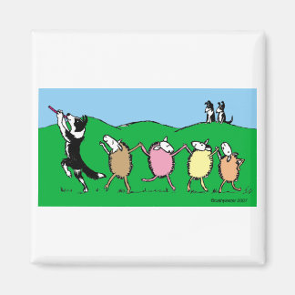 Border Collie Pied Piper Magneet