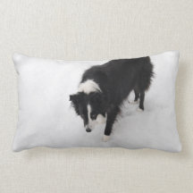 Border Collie Pillow