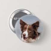 Border Collie Pin Ronde Button 5,7 Cm (Voorkant /achterkant)