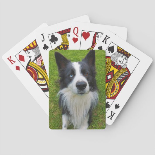 Border Collie Pokerkaarten (Achterkant)