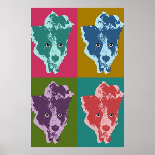 Border Collie Pop Art Poster (Voorkant)