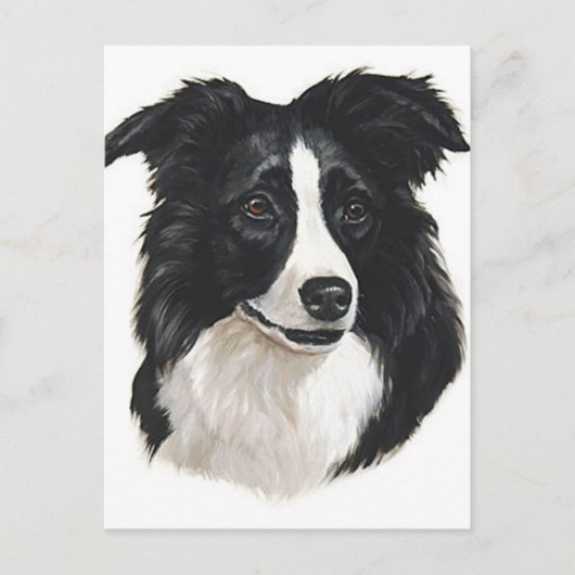 Border Collie Portrait Briefkaart (Voorkant)