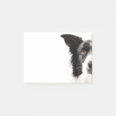 Border Collie Portrait Post-it® Notes (Voorkant)