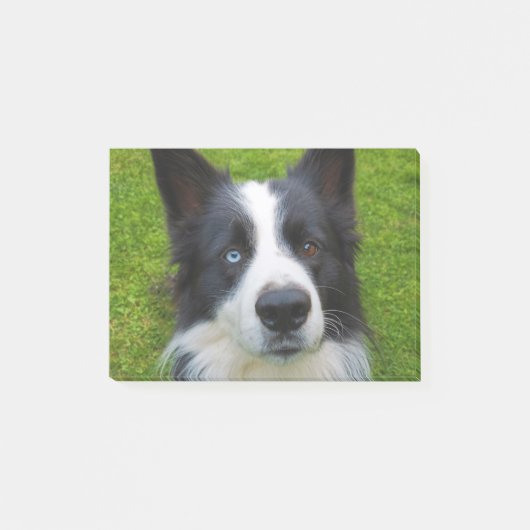 Border Collie Post-it® Notes (Voorkant)