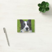 Border Collie Post-it® Notes (Kantoor)