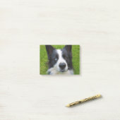 Border Collie Post-it® Notes (Op bureau)