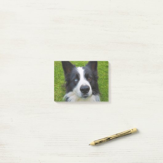 Border Collie Post-it® Notes (Op bureau)