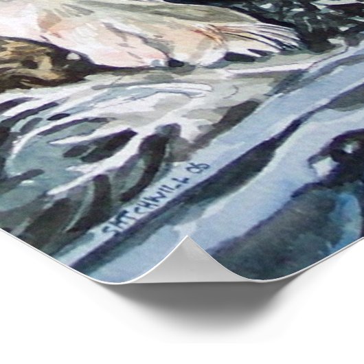 Border Collie Poster (Hoek)