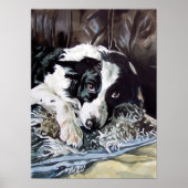 Border Collie Poster (Voorkant)