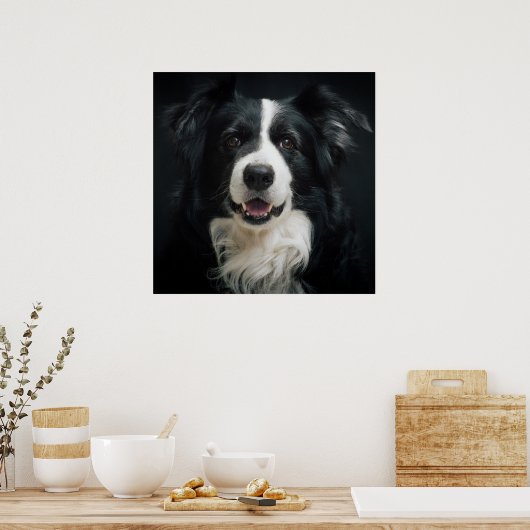 Border Collie Poster (Keuken)