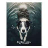 Border collie - poster (Voorkant)