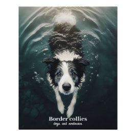 Border collie - poster