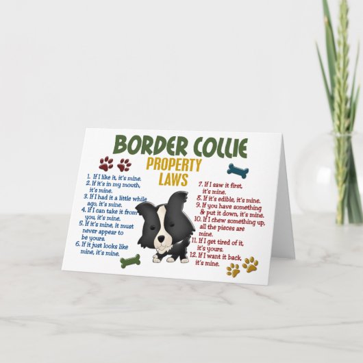 Border Collie Property Laws 4 Kaart (Voorkant)