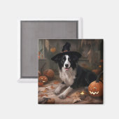 Border Collie Pumpkins Halloween Eng Magneet (Voorkant / Achterkant)
