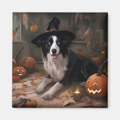 Border Collie Pumpkins Halloween Eng Magneet (Voorkant)