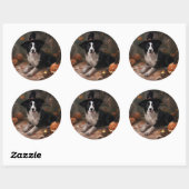 Border Collie Pumpkins Halloween Eng Ronde Sticker (Vel)