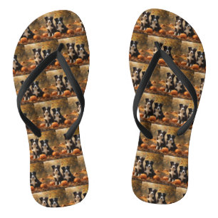 Border Collie Pup Autumn Delight Pompoen Teenslippers