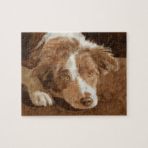 Border Collie Pup Legpuzzel