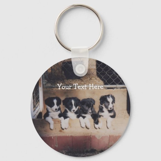 Border Collie Puppies Dog Sleutelhanger (Voorkant)