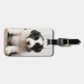 Border Collie Puppy Bagagelabel (Voorkant horizontaal)