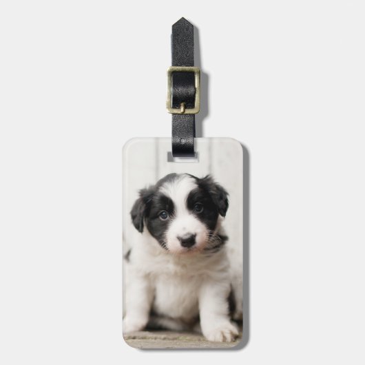 Border Collie Puppy Bagagelabel (Voorkant verticaal)