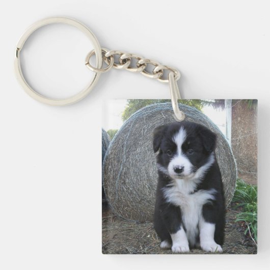 Border Collie Puppy Boerderij Leven, Sleutelhanger (voorkant)
