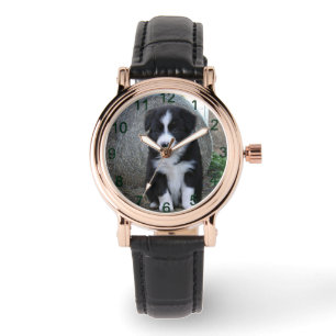 Border Collie Puppy Boerderij Life, Horloge