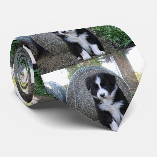 Border Collie Puppy Boerderij Life, Stropdas (Opgerold)