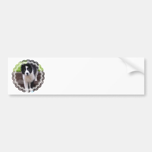 Border Collie Puppy Bumpersticker (Voorkant)