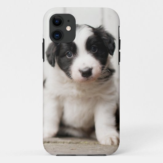 Border Collie Puppy Case-Mate iPhone Case (Achterkant)