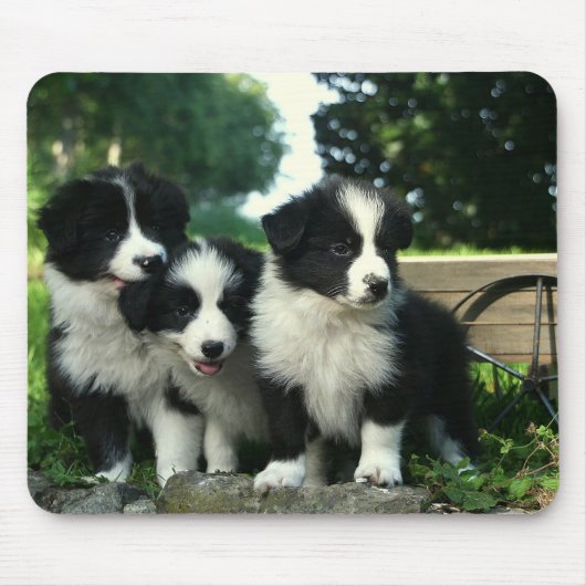 Border Collie Puppy Dog Mousepad Muismat (Voorkant)